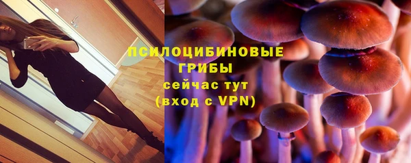 прущая мука Алзамай